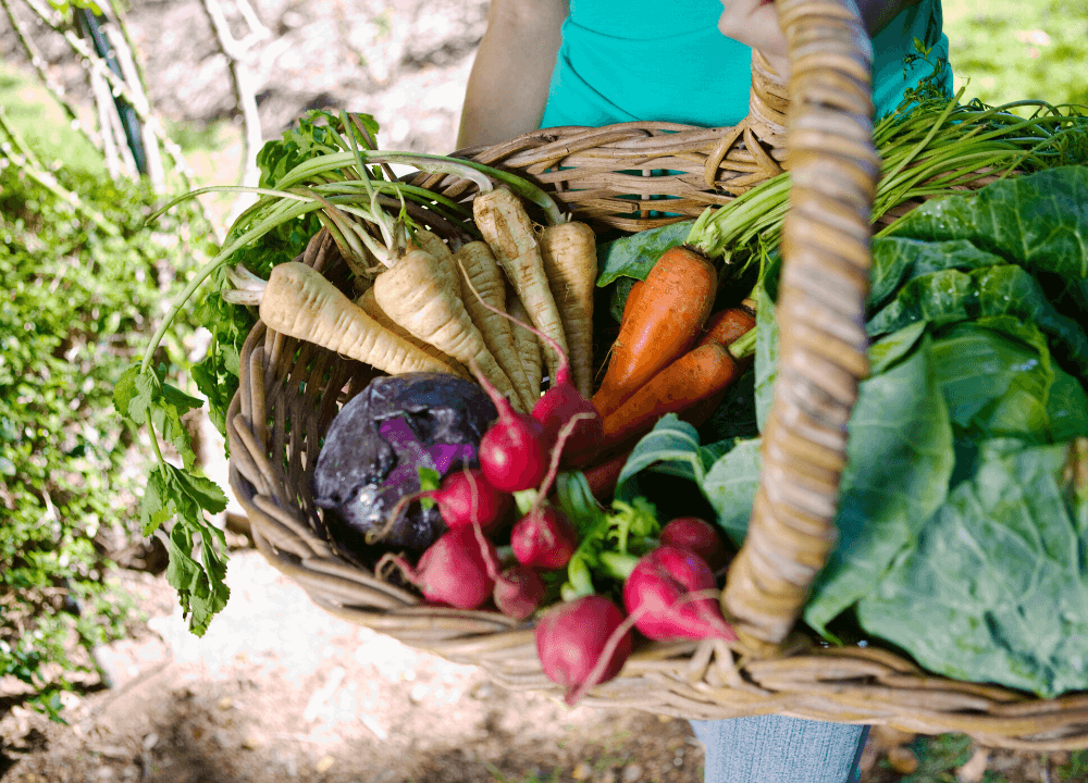 Fresh, Healthy Produce From Your Own Veggie Garden